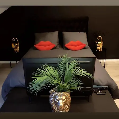 Romantique Et Cosy * Charleroi